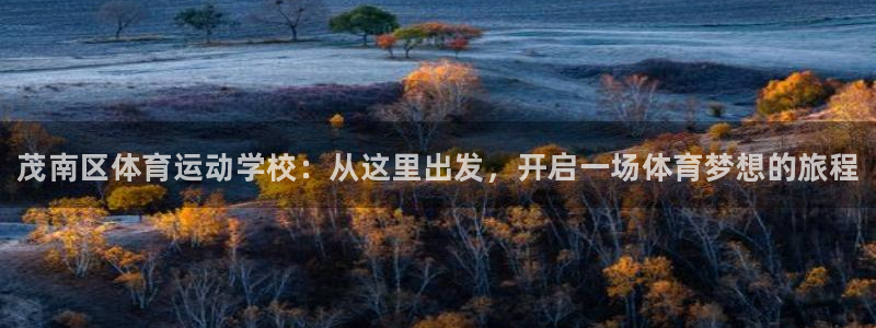 千亿国际官网下载平台注册流程视频:茂南区体育运动学校:从这里