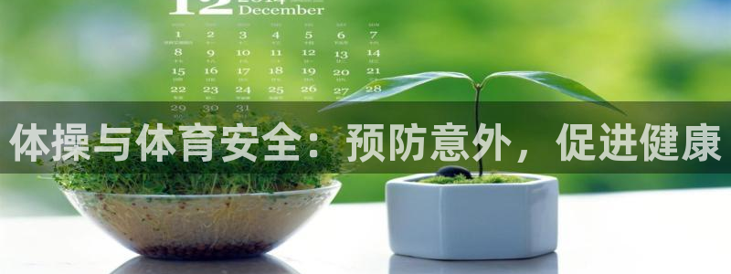 德国千亿国际官方正版app集团:体操与体育安全:预防意外,促