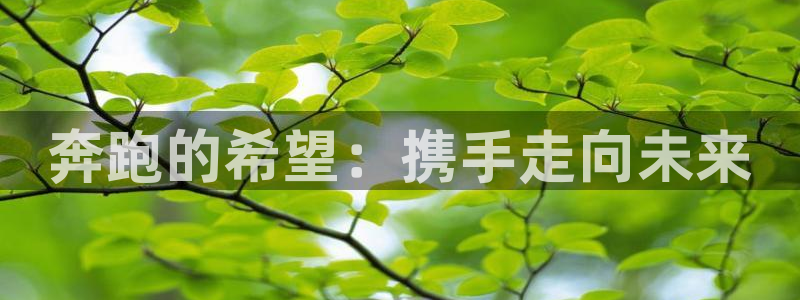 千亿国际官网下载招商电话地址是多少:奔跑的希望:携手走向未来